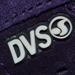 DVS