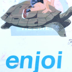 ENJOI