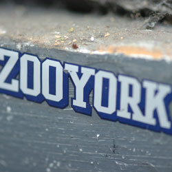 ZOO YORK