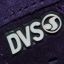 DVS