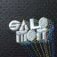 SALOMON
