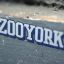 ZOO YORK