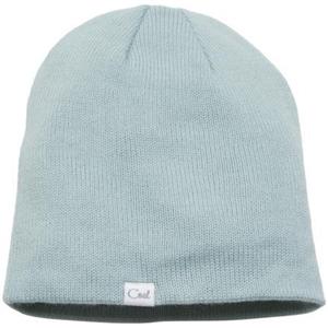COAL WOMEN'S LIZ BEANIE IN PALE BLUE