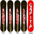 CAPITA INDOOR SURVIVAL SNOWBOARD