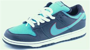NIKE DUNK LOW SB PREMIUM SHOE IN BLACK AND BALTIC BLUE
