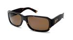 IS EYEWEAR WESTMOUNT SUNGLASSES WITH TORTOISE FRAMES AND A BRONZE LENS