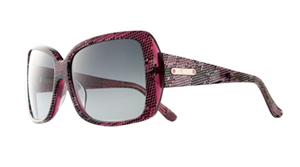 IS EYEWEAR FOREST HILL SUNGLASSES WITH PURPLE COBRA FRAMES AND A SMOKE GRADIENT LENS
