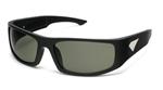 IS EYEWEAR CUERVO SUNGLASSES WITH MATTE BLACK FRAMES AND A G15 LENS