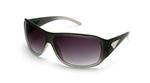 IS EYEWEAR STOLI SUNGLASSES WITH BLACK FADE FRAMES AND A SMOKE GRADIENT LENS