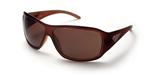 IS EYEWEAR STOLI SUNGLASSES WITH DARK BROWN FRAMES AND A BRONZE LENS