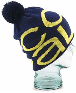 COAL THE LOGO BEANIE IN NAVY